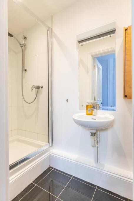 Victorian Flat Close To Station With Large Garden Lejlighed Brighton Eksteriør billede